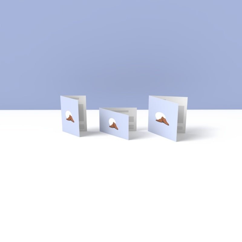 Dépliants 1 Pli Simple - Image 4