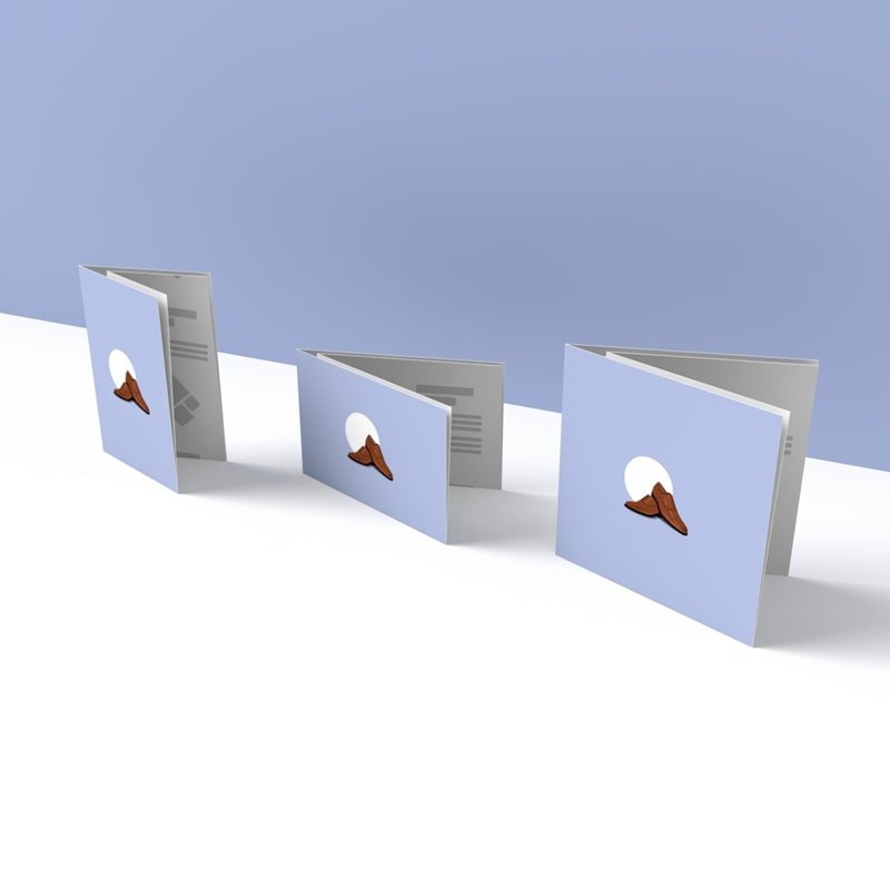 Dépliants 2 Plis Croisés - Image 2