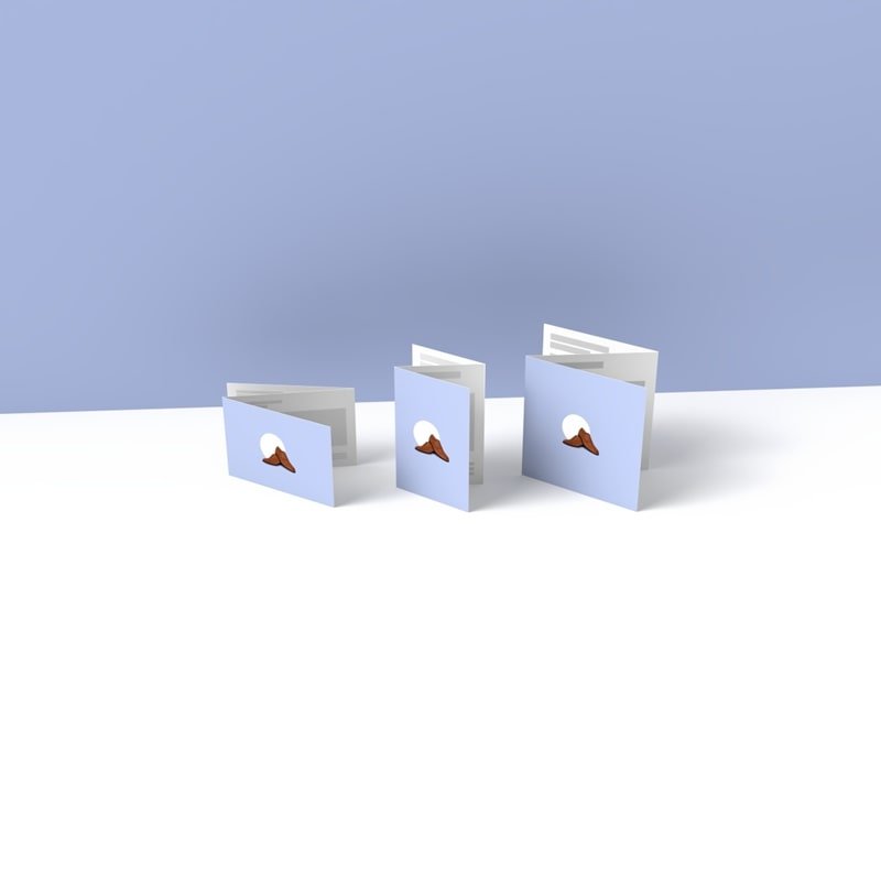 Dépliants 2 Plis Roulés - Image 5